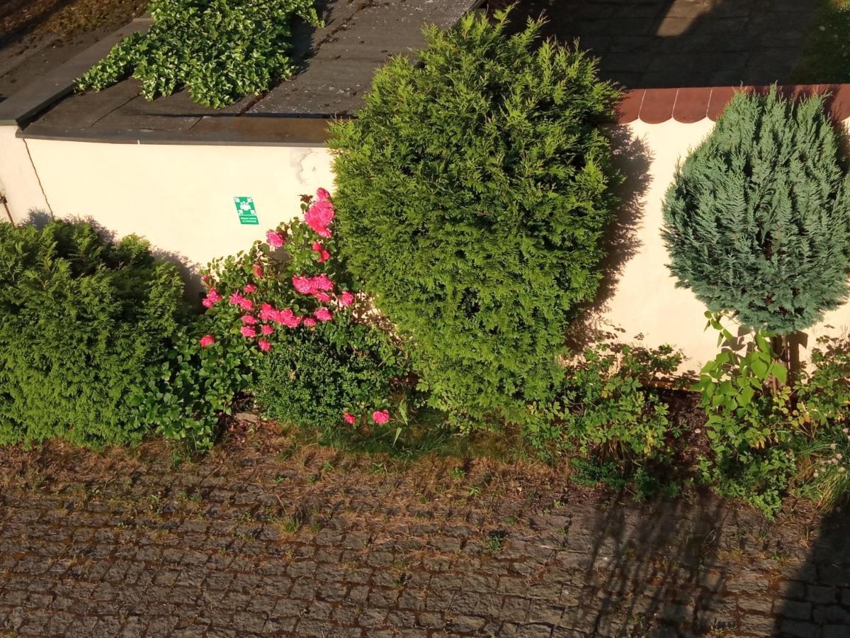 Iwona Hostel - Budget Rooms With Private Bathrooms Sopot Buitenkant foto